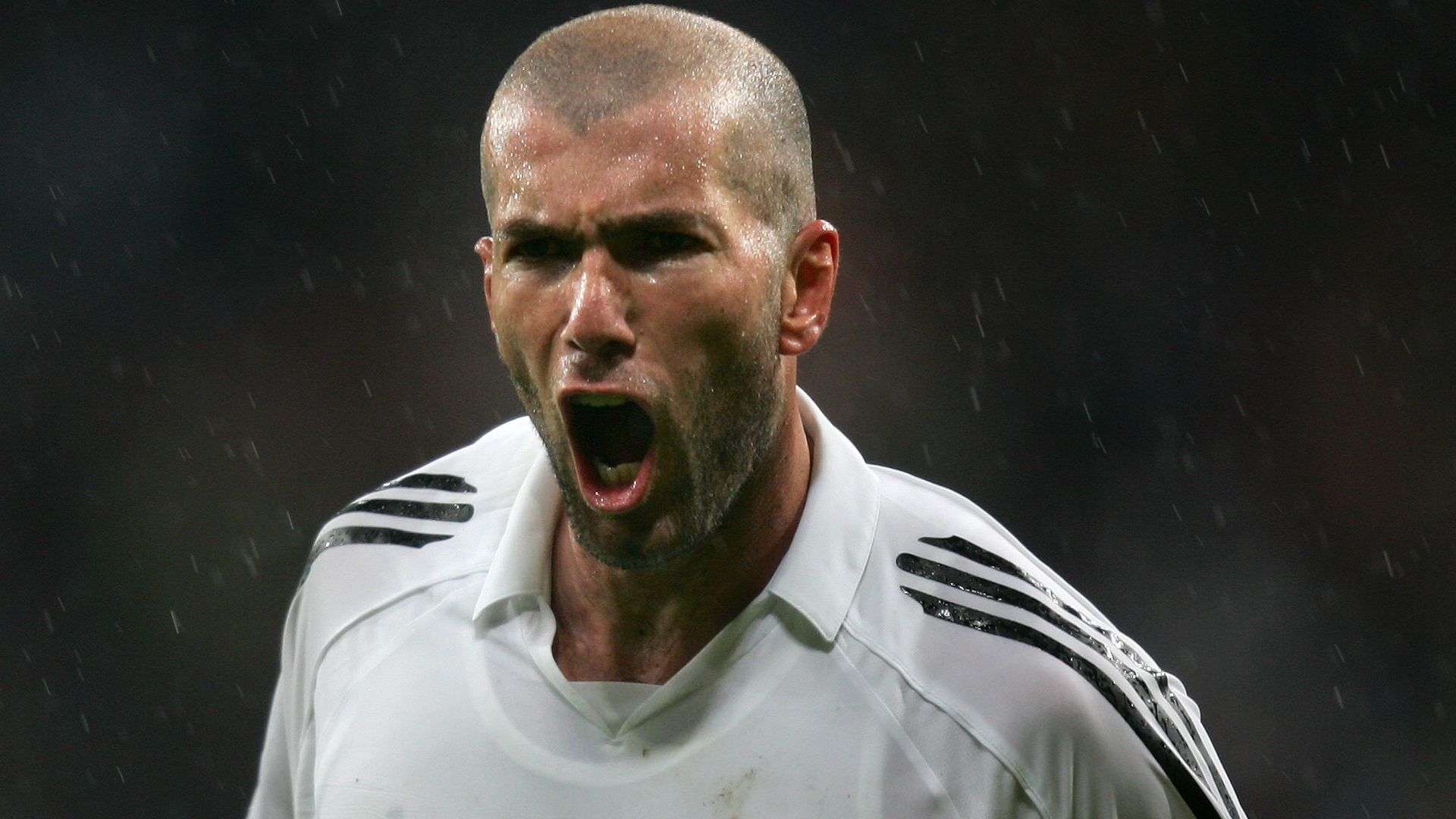 展开良性竞 展开良性竞