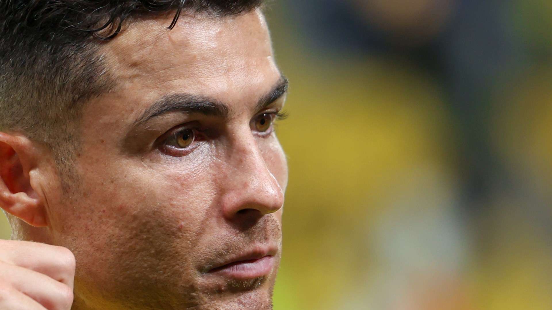 战和质疑 战和质疑