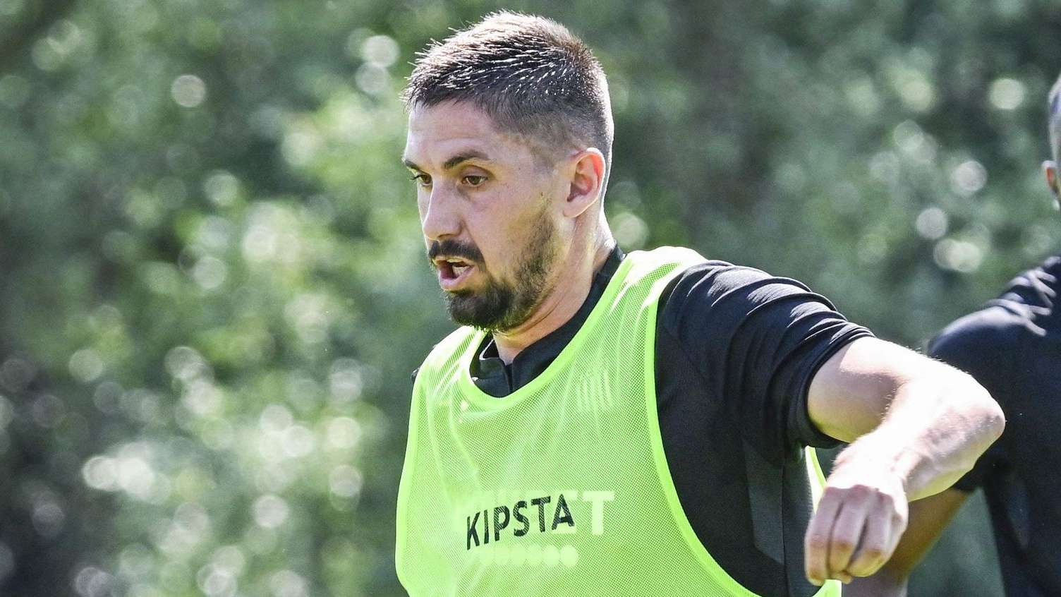 自展现了不 自展现了不